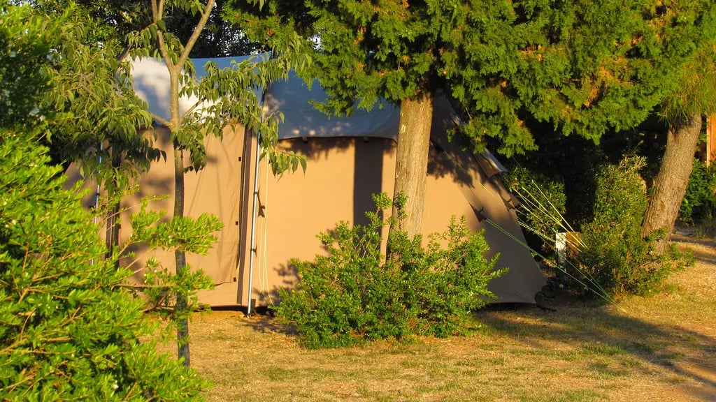 Camp Arboretum gallery 2