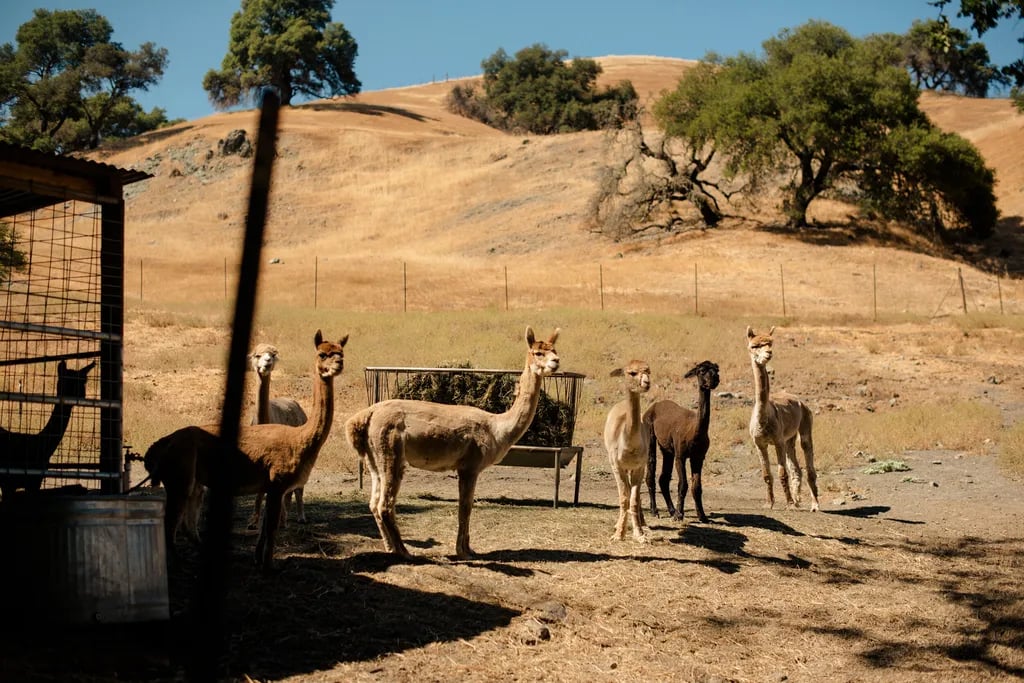 Sindisa Sanctuary Camping
