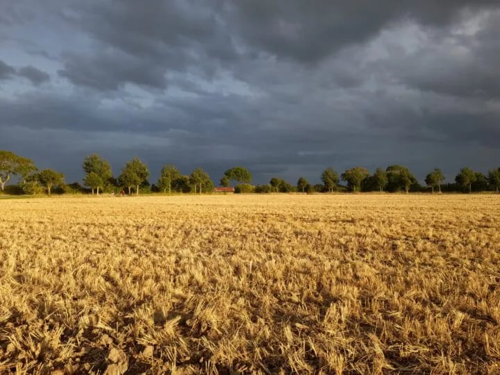 Boerderijcamping Molenperk gallery 3