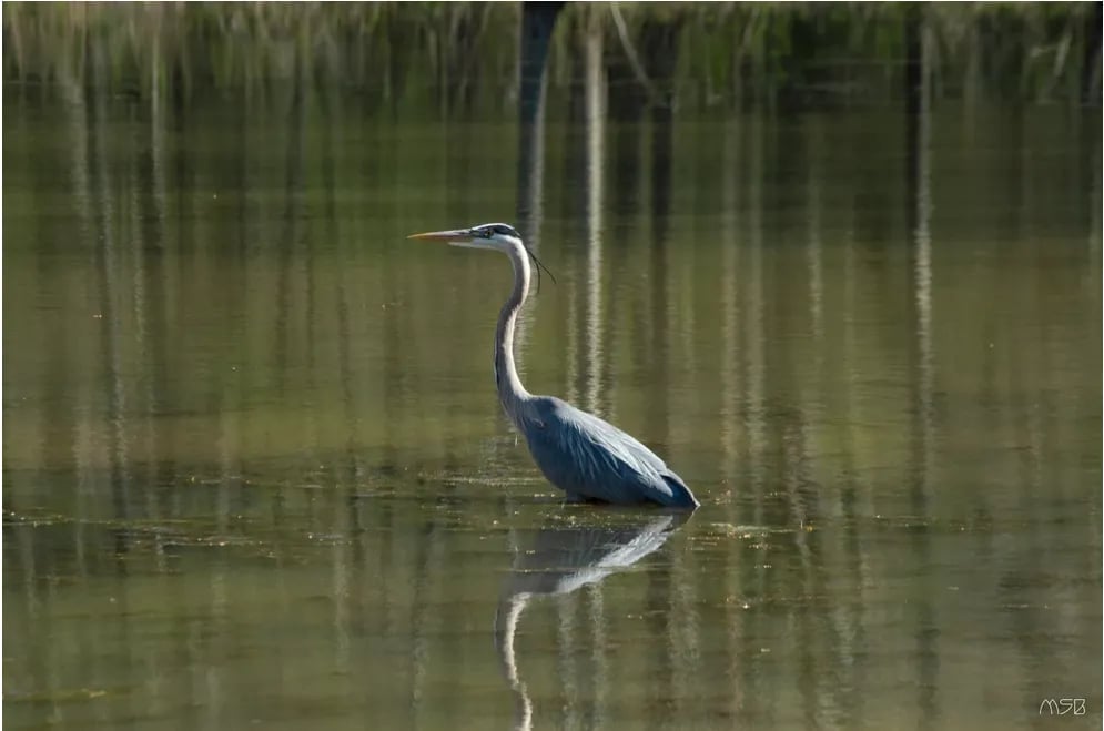 Riddle Point Park on Lake Lemon gallery 3