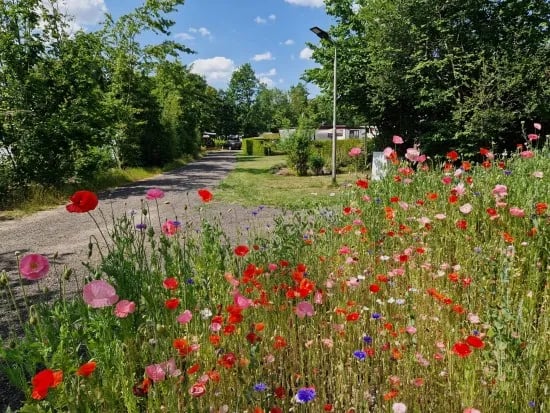 Camping Alkenhaer gallery 1