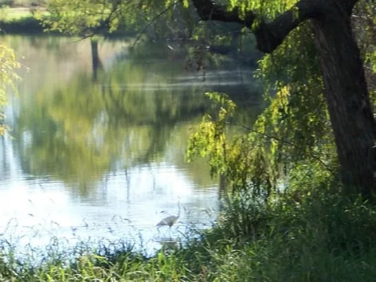 Suncatcher Lake Campground gallery 2