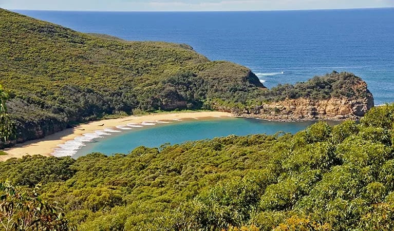 Tallow Beach campground gallery 3