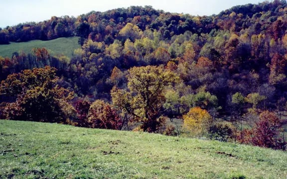 Smoke Rise Ranch Resort gallery 1