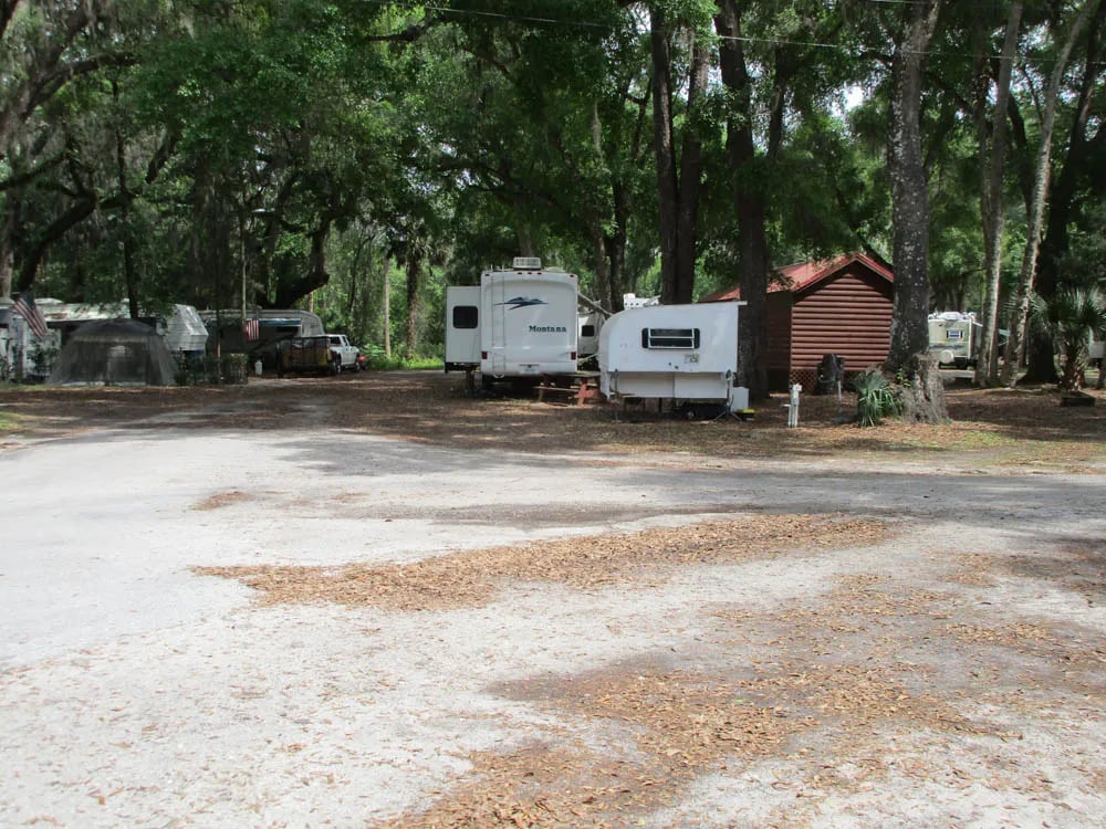 St Johns River Campground gallery 1