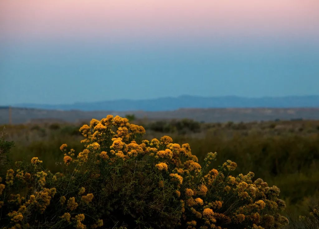 Highline Lake State Park Campground gallery 1