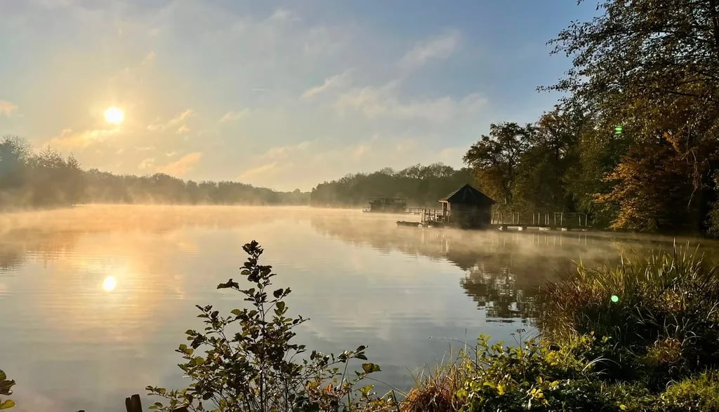 Camping Domaine de la Dombes gallery 3