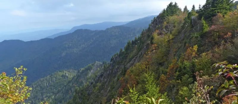 Siler Bald Trail Shelter TR 373 gallery 3