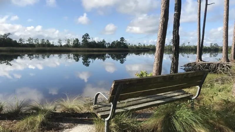 Topsail Hill Preserve State Park gallery 3