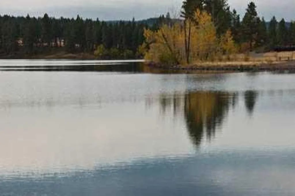 Morgan Lake – TEMPORARILY CLOSED gallery 2