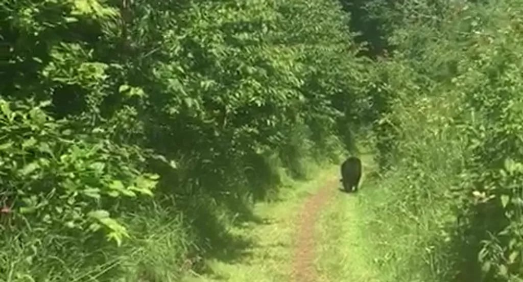 Eco Escape gallery 2