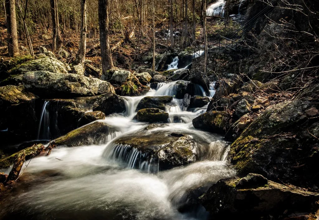 Pine Creek Tiny House gallery 1