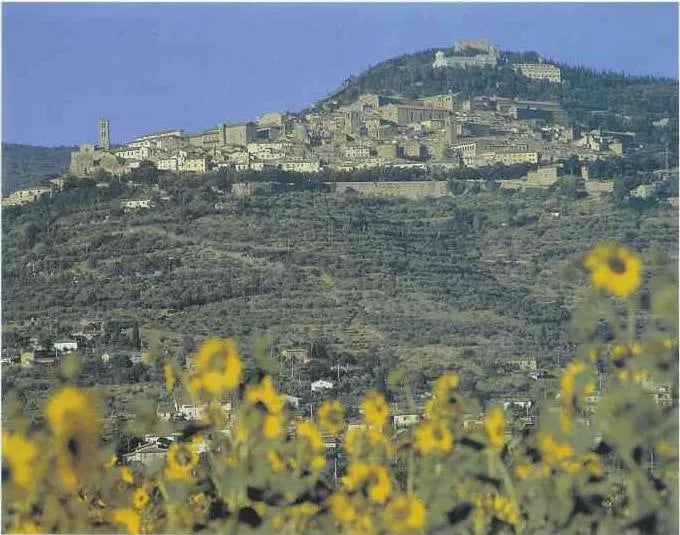 Camping le Ginestre gallery 3