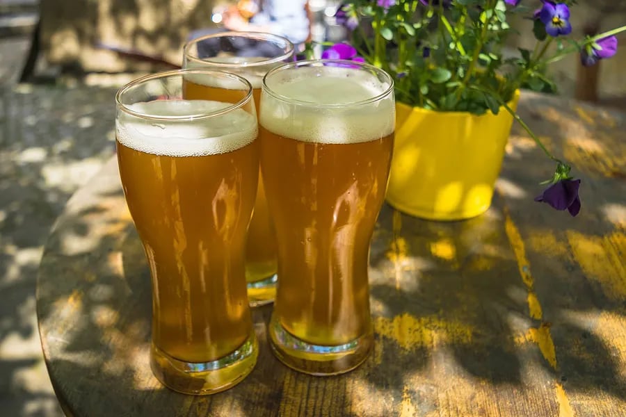 Mosel Camping Cochem