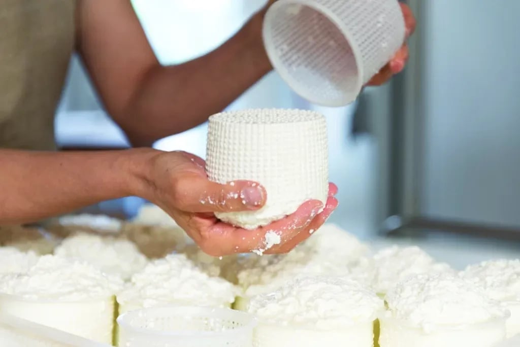 Agriturismo La Petrosa gallery 1