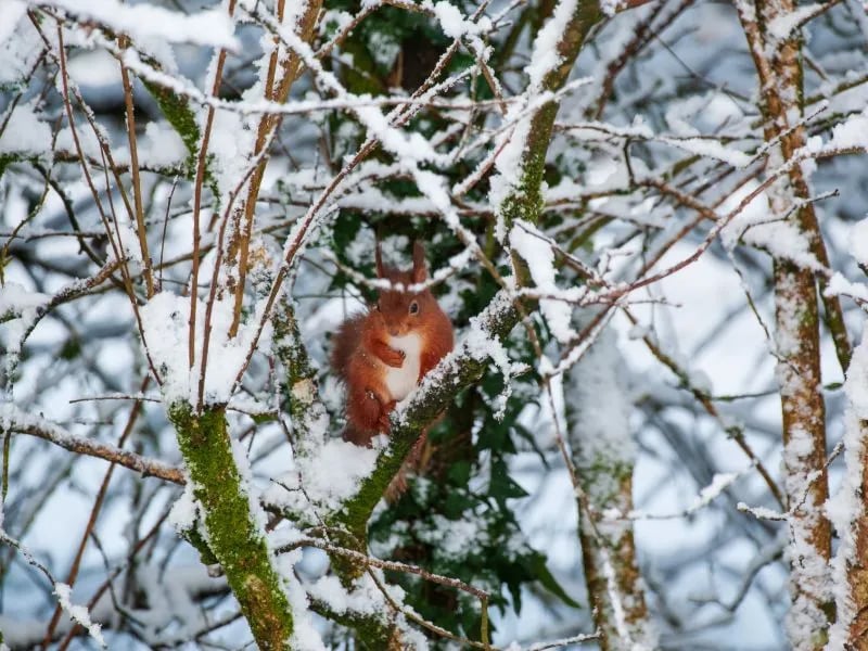 Deeside Holiday Park gallery 1