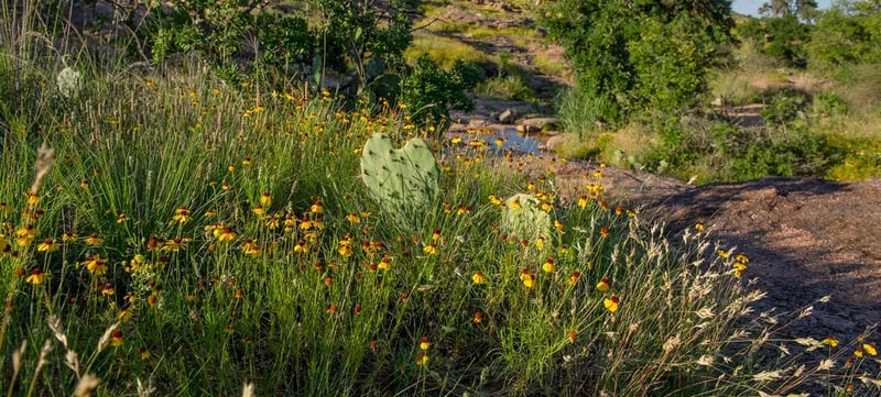 Walnut Springs Area — Enchanted Rock State Natural Area gallery 3