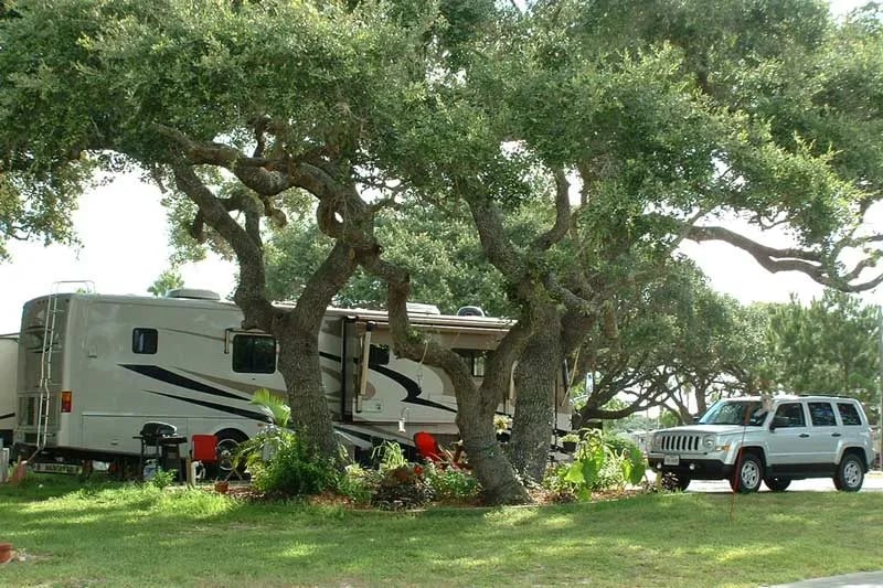 Wilderness Oaks RV Resort gallery 2