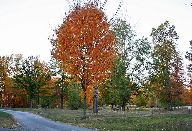 Thousand Trails Indian Lakes gallery 3