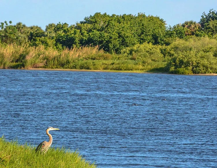 River Landing RV Park gallery 3