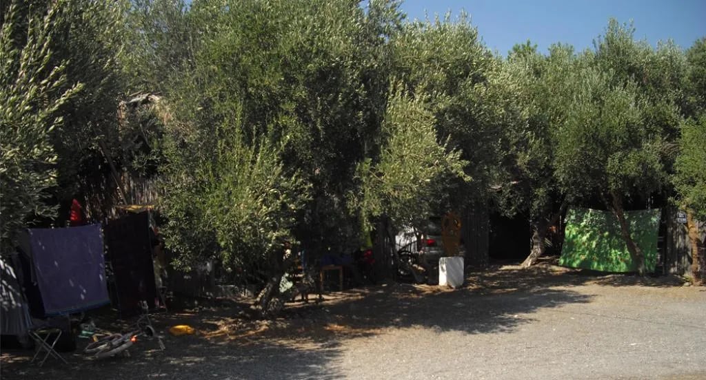 Campsite Koutsounari gallery 3