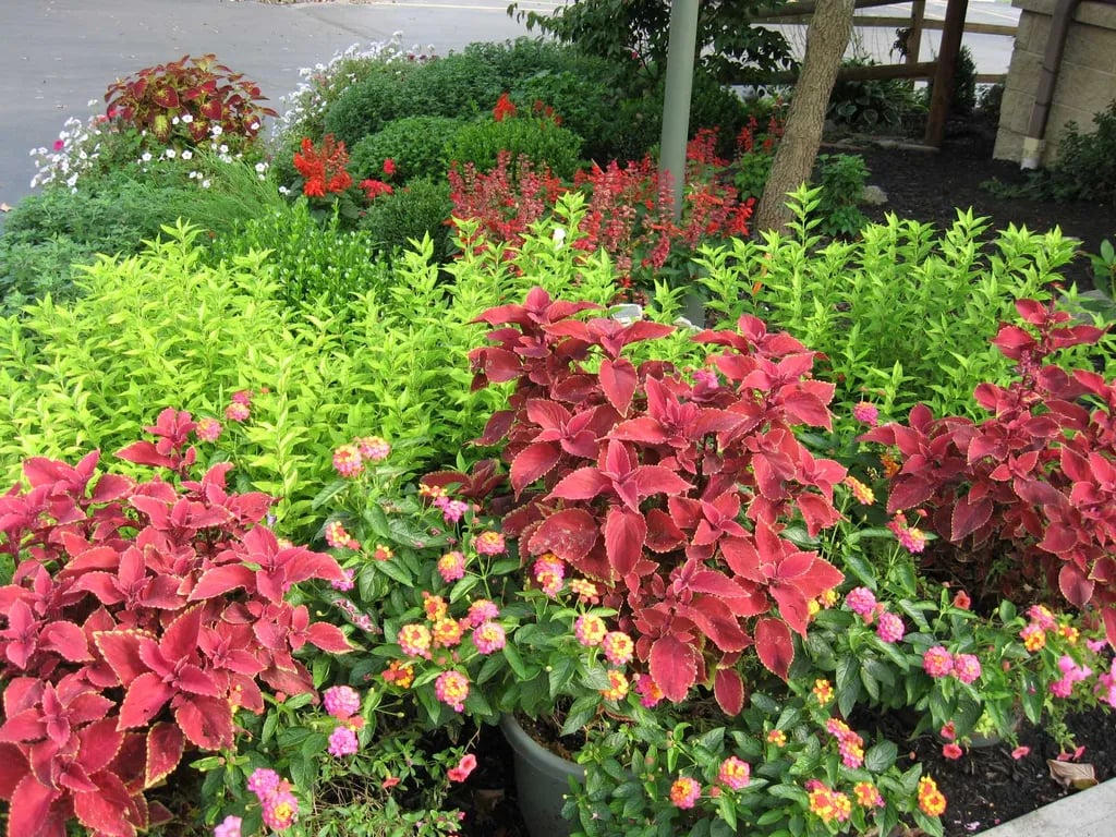 Cross Creek Camping Resort