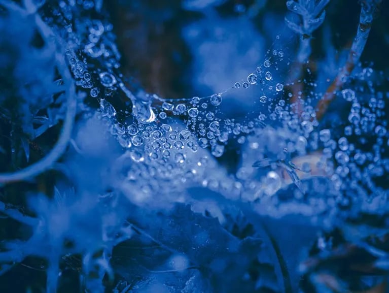 Camping Margherita gallery 2