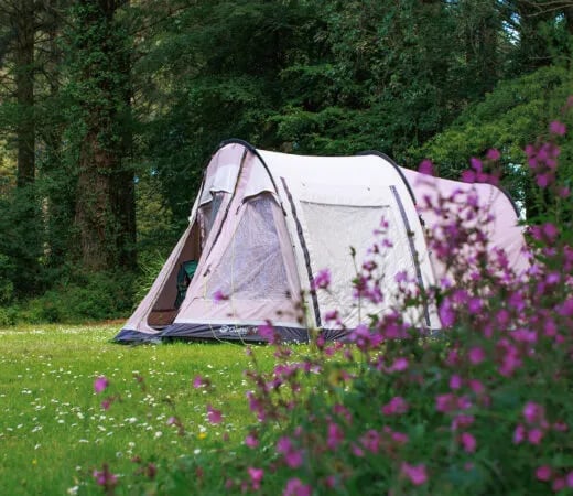 Green Hill Farm Camping and Caravan Park gallery 3