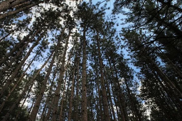 Leon Valley Campground gallery 2