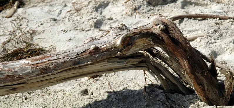 Camping Jurata gallery 1