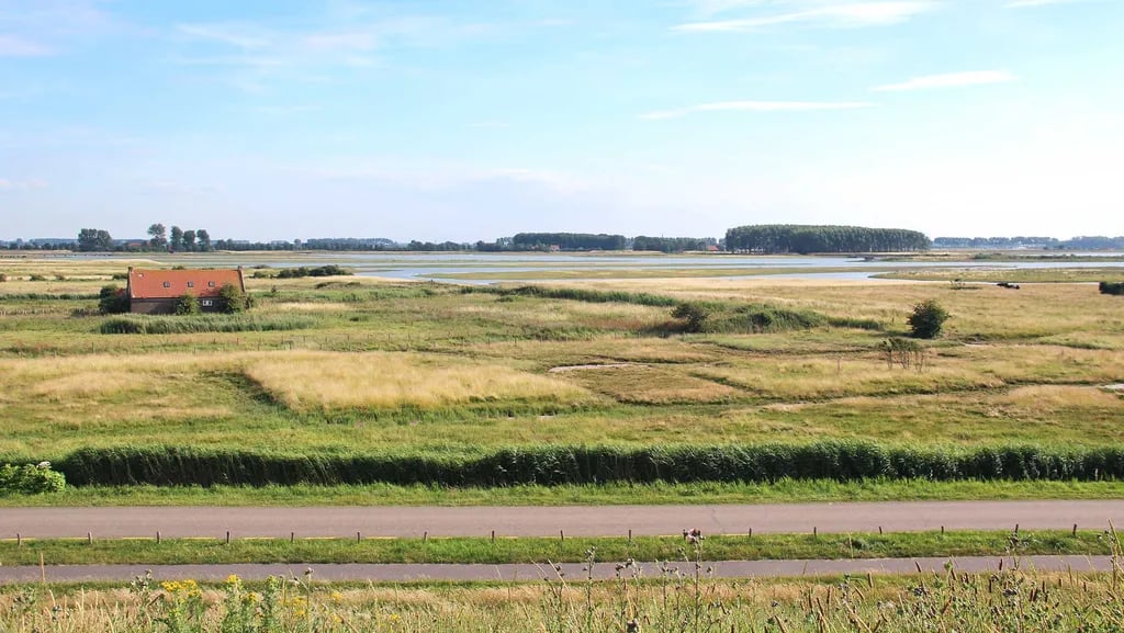 Molecaten Park Hoogduin gallery 1