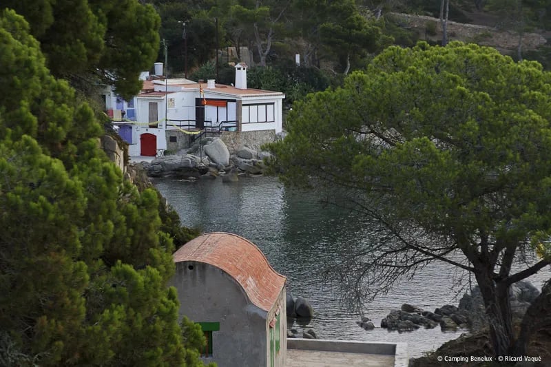 Camping Benelux gallery 2