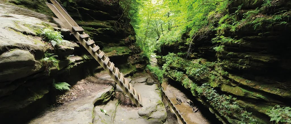 Turkey Run State Park