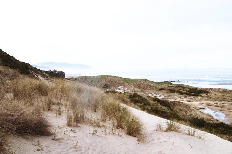 Cape Kiwanda RV Resort and Marketplace gallery 3