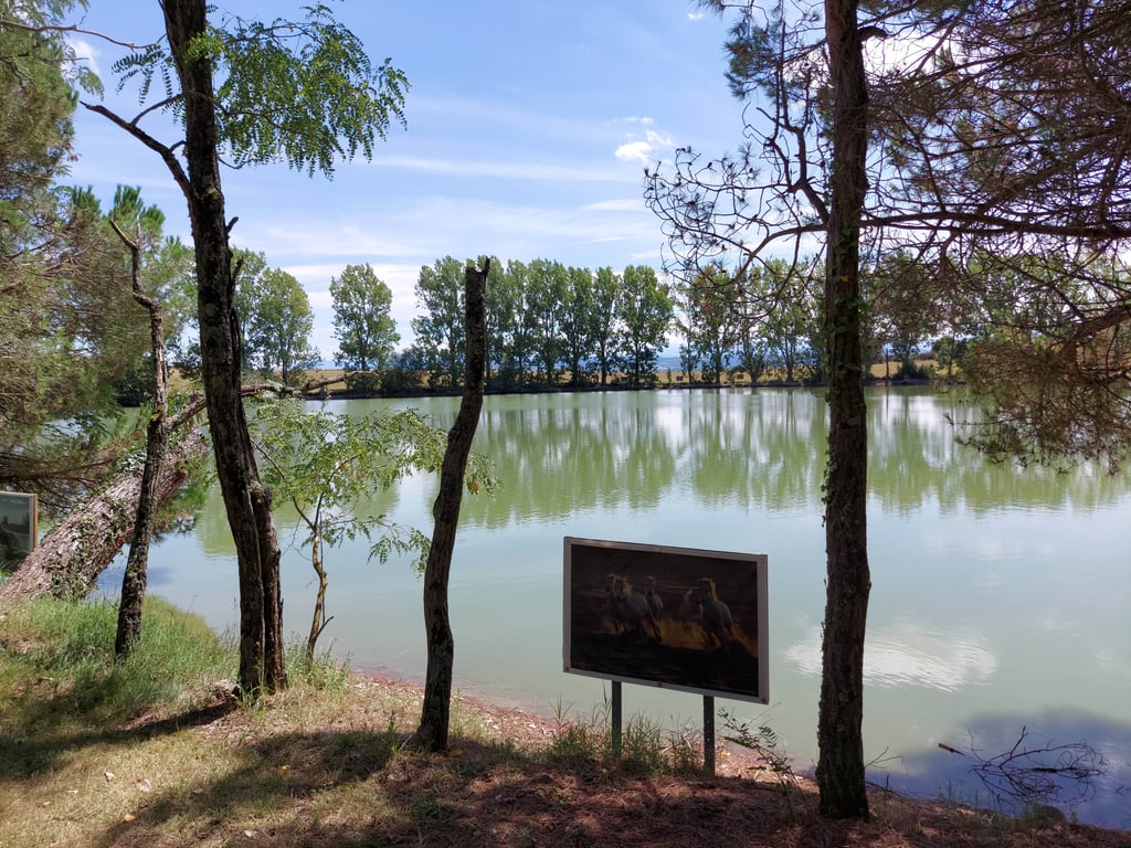 Camping les Brugues gallery 3