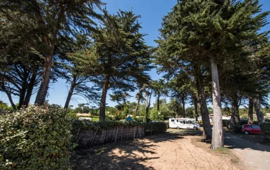 Camping Les Grenettes gallery 2