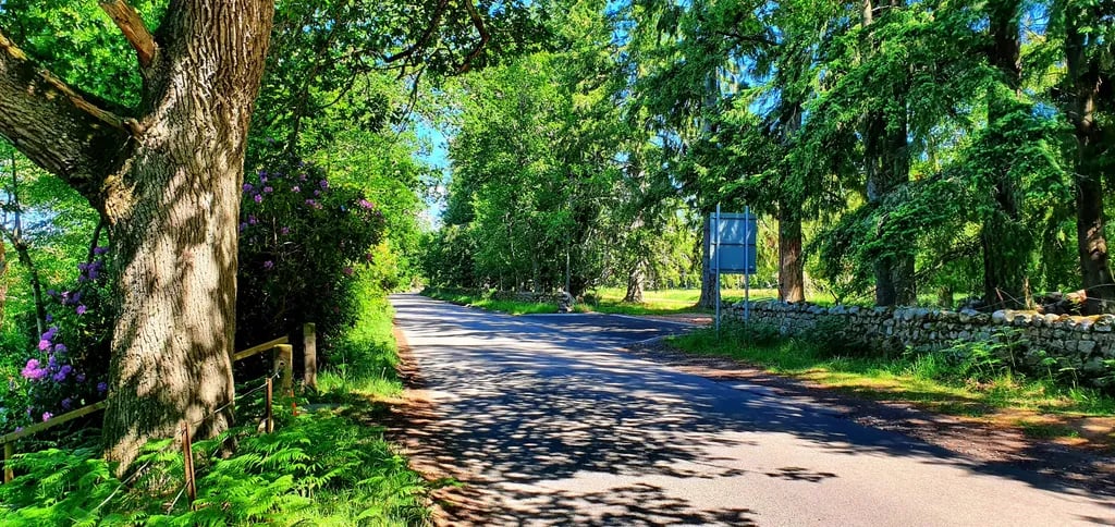 Firbank Park gallery 2