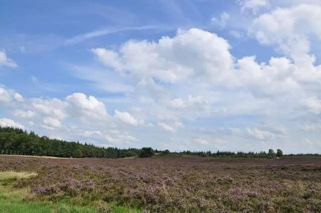 Campingpark Aan Noordzee gallery 3