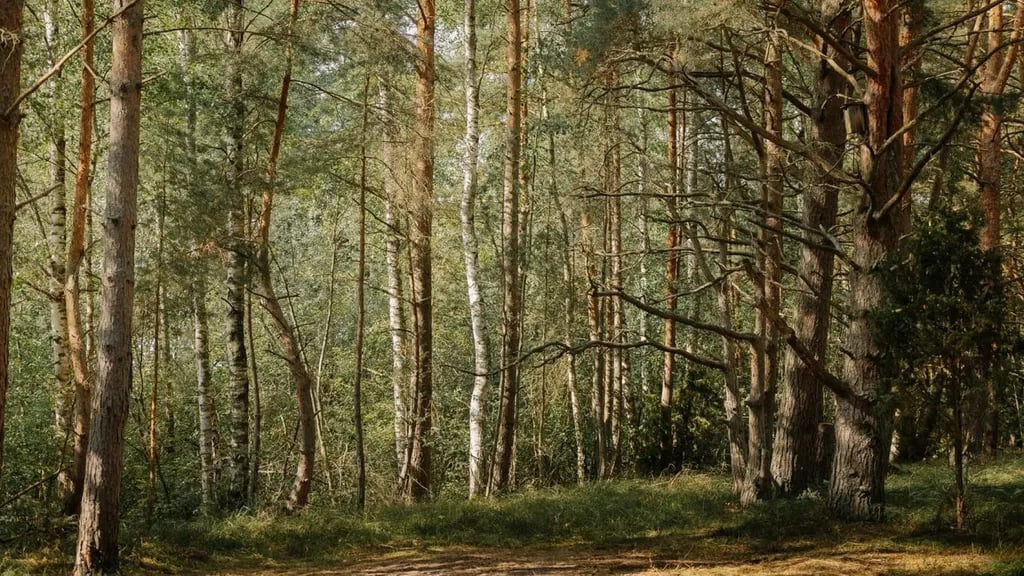 Domaine de Verdagne gallery 1