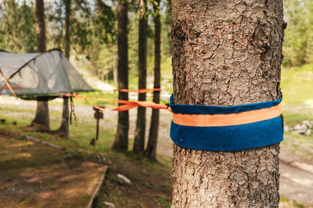 Camping Marmolada Malga Ciapela