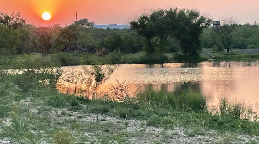 Turtle Ranch Camping and RV gallery 2