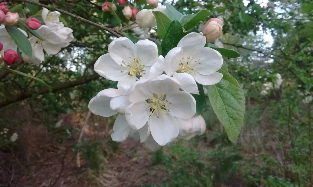 Bulworthy Project gallery 2