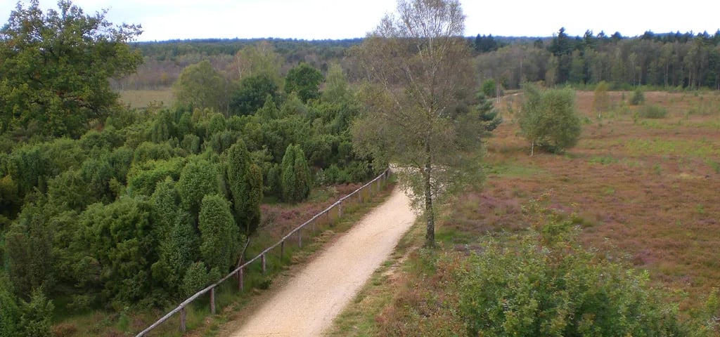 Aan De Grens gallery 2