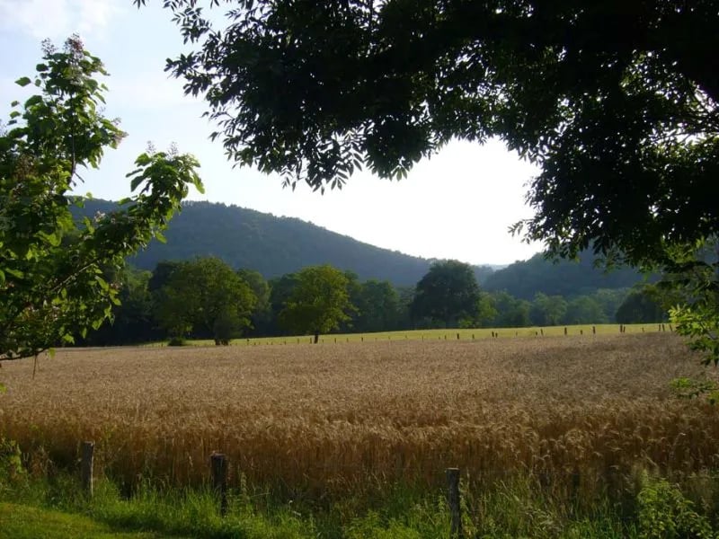 Camping Le Vaurette gallery 1