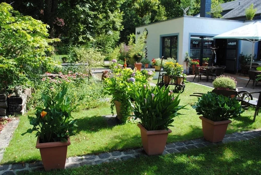 Camping Vallée de l’Our gallery 1