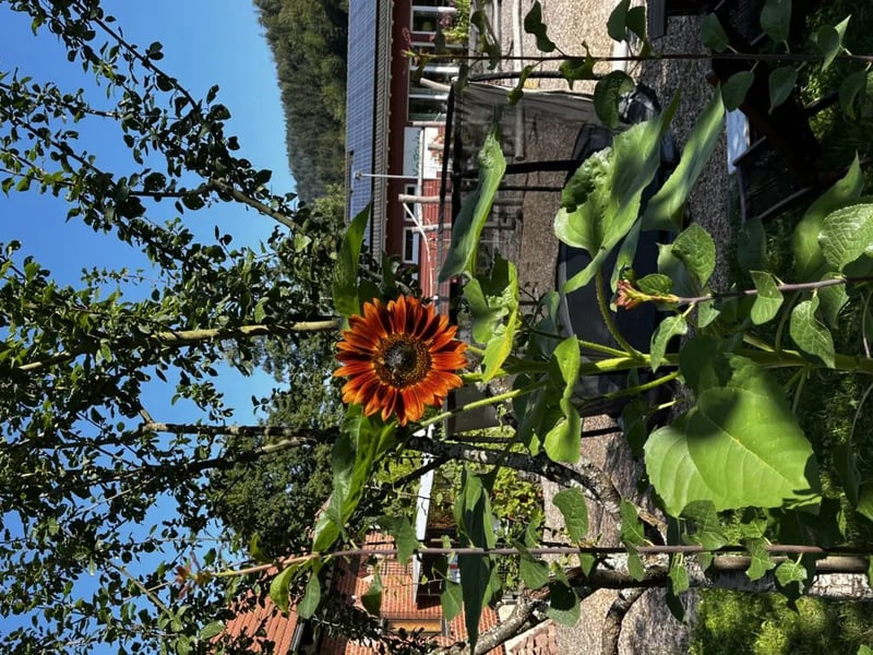 Campingplatz Quellgrund gallery 3