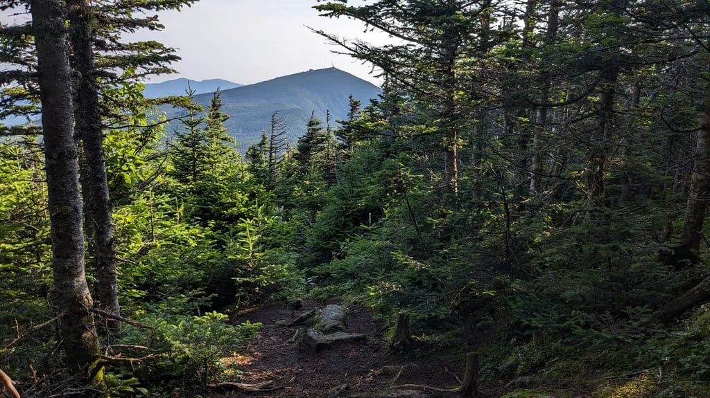 Hostel of Maine gallery 3