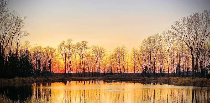 Mapleview Campground gallery 3