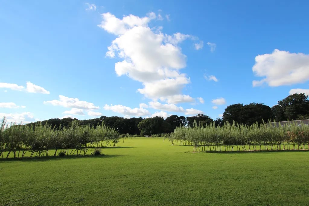 Bylaugh Country Park gallery 1