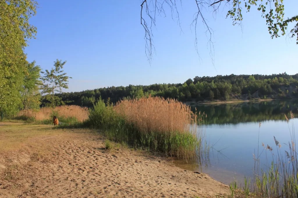 Campingplatz Waldbad Zeischa gallery 1